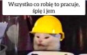 Na karuzeli