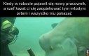 Oreła Cień
