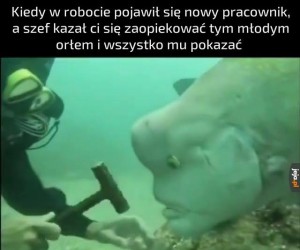 Oreła Cień