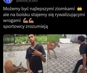 Uwielbiam grać w kręgle moim z chomikiem