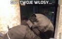 Gdy Twoje włosy...