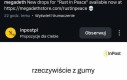 Ja w sprawie pumy