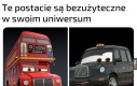 Pewnie są na zasiłku