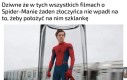 Przecież to powstrzymuje pająki