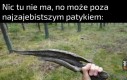 Asia z 3C na to poleci