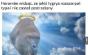 Trochę nie fair