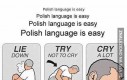 Nauka polskiego z punktu widzenia obcokrajowca