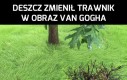 Obraz van Gogha