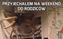 Przyjechałem na weekend do rodziców