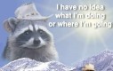 Howdy partner