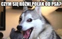 Jednak nie będzie darmowej wody w restauracjach