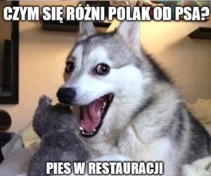 Jednak nie będzie darmowej wody w restauracjach