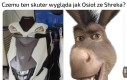 Bo nie ma dżemu