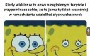 Może to tylko zbieg okoliczności