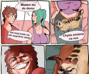 Dobry skrzydłowy kiciuś