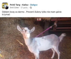 Ktoś chętny?