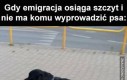 Sam się wyprowdzę