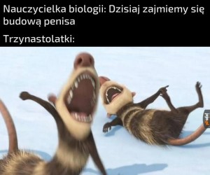 Beczunia