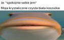 Tak było, nie zmyślam