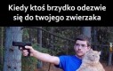 Zginiesz