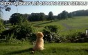 Kiedy skończyłeś ostatni sezon serialu