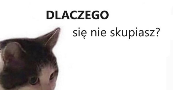 Dlaczego? - Jeja.pl
