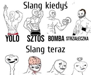 Niezrozumiałe te nowe słowa