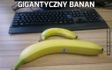 Gigantyczny banan