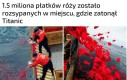 Musieli mieć dobry kalkulator