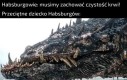 Zęby po tatusiu i wujku w jednej osobie