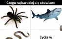 Największe bolączki człowieka