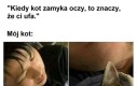 Zaufanie