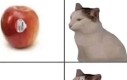 Hehe