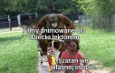 Nie przepadam