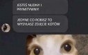 Jestem jaki jestem