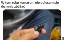 Dość tych ugryzień