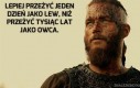 Ragnar radzi...