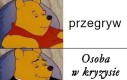 Raz na wozie, raz pod wozem