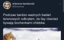 Jestem chlebem, uświadom to sobie