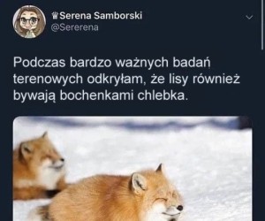 Jestem chlebem, uświadom to sobie