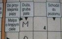 Skromny człowiek