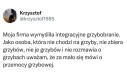 Grzyby to nie moja bajka