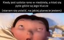 Merkury czereśniowy
