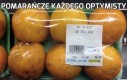 Pomarańcze każdego optymisty