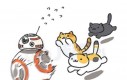 Gdy BB-8 spotkał koty