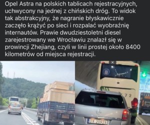 Jak myślicie, skąd się tam wziął?