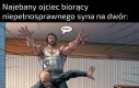 Idź ku wolności, niechodzie