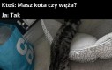 Zwierz to zwierz