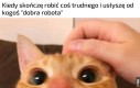 Smutne jak rzadko to się zdarza