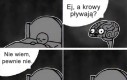 A weź sprawdź